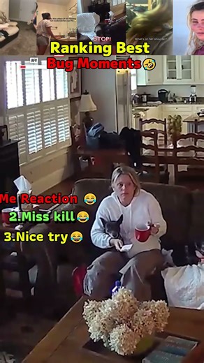 These Bugs Are Crazy 🤣