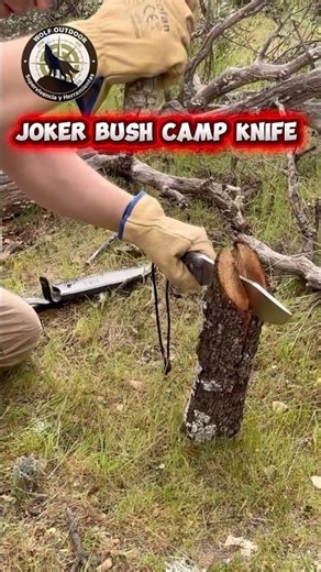 TOUGH BATONING!! with the JOKER BUSH CAMP KNIFE #survival #bushcraft #tools