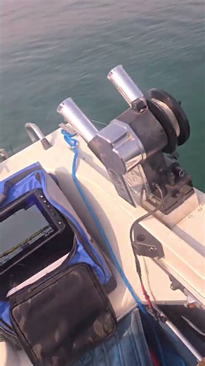 catching 2 huge lake trout at a time using active target on lake ontario #laketrout