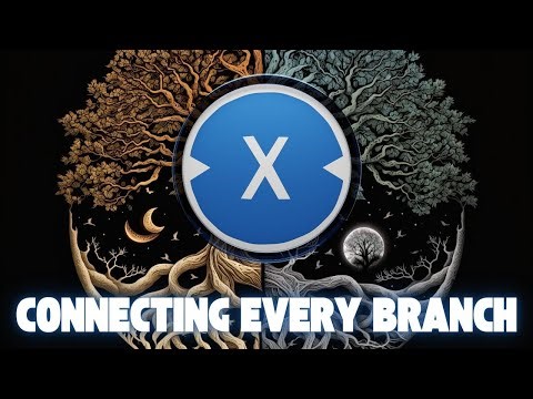 XDC CONNECTING EVERY BRANCH of FINANCE !!!