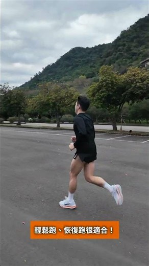 Nike Pegasus Premium Featured Shoe Review