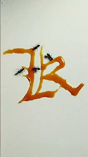 Calligraphy "K" #asmr #calligraphy #shorts