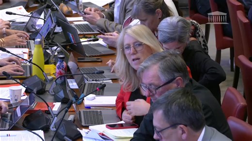 1.7K views · 55 reactions | Les employeurs qui usent et abusent de la sous-traitance exposent les travailleurs à des accidents du travail plus élevés! Responsabilisons-les en augmentant leurs cotisations sociales en fonction de la sinistralité ! #PLFSS2026 | Danielle Simonnet | Facebook