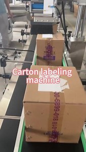 Automatic Carton Top Labeling Machine | Box Top Surface Labeling Machine