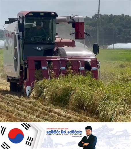 Korean වලින් කියන නම Comment කරමු ❓👇