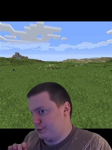 rien de mieu ✨ #mincraft #biome #mincraftbase #Meme #gaming