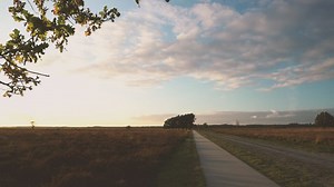 Path in a forest - Free Stock Video