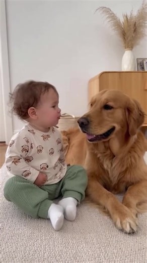 9.7K views · 115 reactions | Their little woof chat made my day 凉 | Most Famous Movies Of All Time | Facebook