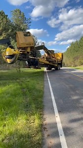 Logger work time 🚜❤️🌲💵 . .​#swamp #swamploggingsc #swamplogging #carters #southcarolina #johndeere #tigercat #forestry #satire #tigercat #carters #tiktokviral #swamp #forestry #johndeere #equipment | Peake Warren