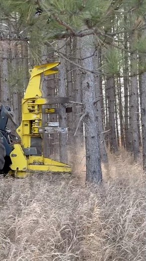 Feller Buncher head working. #johndeere