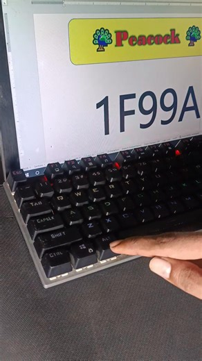 Peacock Symbol Tricks #computer #symbol #Productivity #Ms #peacock | NECI Computer Institute