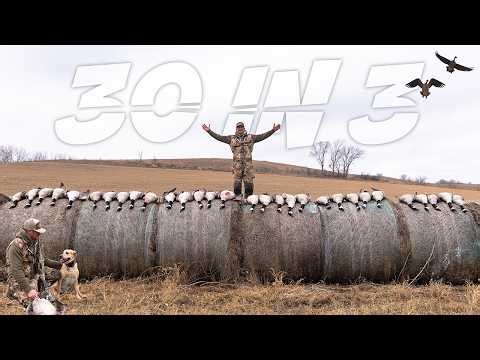 Late Season Goose Hunt | 6 Man LIMIT (30 in 3 Hours!)