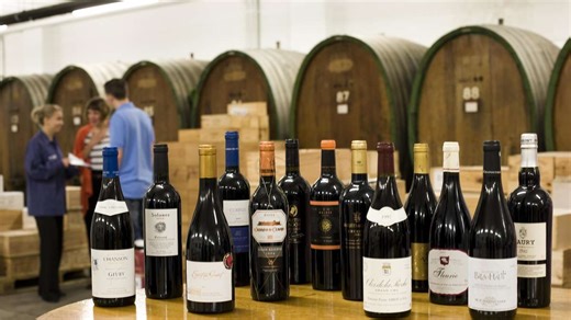 Verkostung im BASF-Weinkeller – alles über die Hausmesse 2026