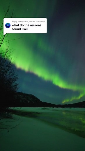 Andy Witteman on TikTok