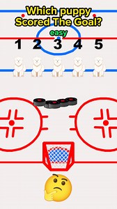 1.9M views · 6.2K reactions | Which puppy scored?樂 #brainwavegametime #brainteaser #MindGames #quizshow #game #quiz #puzzle #IQ #trivia #gk #riddle #generalknowledge #math #hockey #NHL #WhoScored | BrainWave Game Time | Facebook