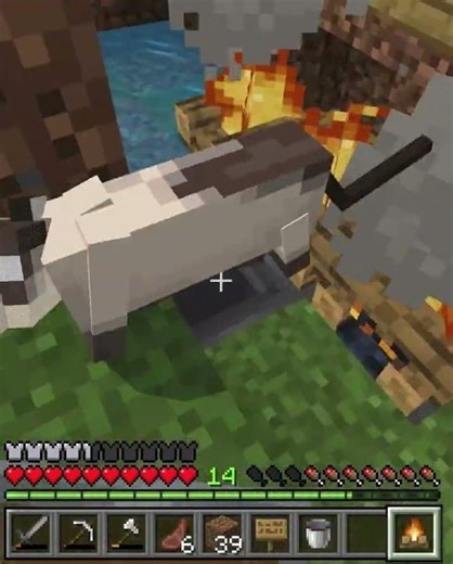 Day 17 #minecraft #isurvived100daysminecraftinhindi #minecraftgameplay #gaming