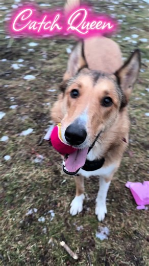 Meet the Catch queen