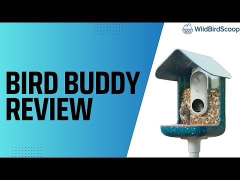 Bird Buddy Unboxing & Review: The Ultimate Video Bird Feeder Experience?