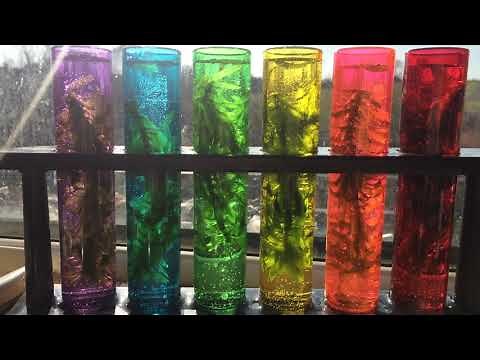 Photosynthesis Spectrum of Light Experiment - Bubbles from Elodea Pond Weed