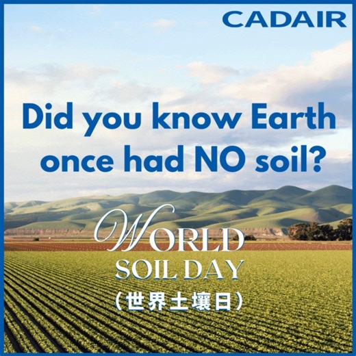 Cadair on Instagram: "🌍 World Soil Day | Did you know Earth once had NO soil? #SoilDay 400M years ago, our planet was all rock — no soil, no plants, no life as we know it. 🌋 But tiny heroes like lichens & mosses changed everything. 🌿 They broke down rocks millennia to create Earth’s first soil — a slow, epic collaboration between nature and time. Fallen petals are not heartless things — they nourish the earth to support new life. 🌸 (Inspired by Chinese poetry: “落红不是无情物，化作春泥更护花”) Why it matte