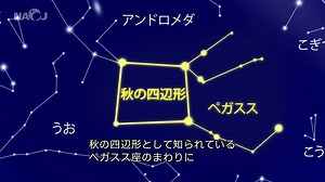 11月の星空情報です。 七夕の星々は西の空に傾き、東天にはオリオン座が姿を現してきます。 明るい恒星の多い季節に挟まれて、ややひっそりと見える秋の夜空を見上げてみましょう。 天頂高く、「秋の四辺形」が目に付きます。「ペガスス座」の一部に当たるこの四辺形のすぐ近くで、1995年に重大な発見がありました。太陽以外の恒星を周る回る太陽系外惑星がはじめて発見されたのです。系外惑星の研究を飛躍的に発展させる端緒となった「ペガスス座51番星b」の発見に、今年2019年のノーベル物理学賞が授与されています。 「ペガスス座」の周囲には「アンドロメダ座」や「カシオペヤ座」などの星座が並んでいます。これらの星座は、一つの神話に登場する関係の深い人物や生き物を象っています。古代から、人類は星を観察し、その配置を星座として伝えてきました。秋の夜長、そうした人類の想像力に思いを馳せながら、夜空を見上げ見てはいかがでしょうか。 ◎11月の月の暦 4日：上弦、12日：満月、20日：下弦、27日：新月 ぜひ夜空を見上げてみてください。 | 国立天文台