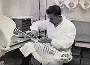 News 8 Archives: Ward’s Science