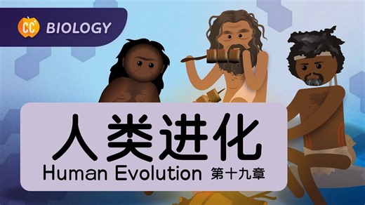 【十分钟速成课：生物学】第19集，人类进化（中英字幕）Crash Course Biology #19