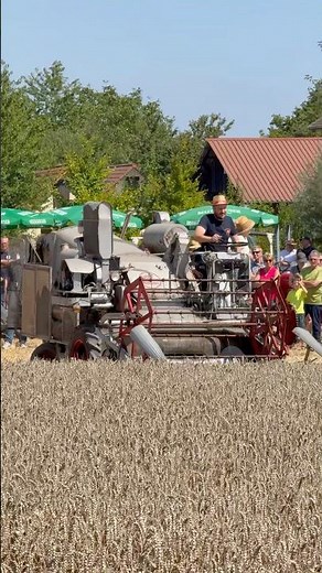 Wheat threshing with the Claas Columbus | Historic Field Day Dühren - Threshing Festival 2025 #fa...