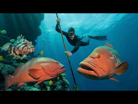 Spear fishing for red grouper at night and valuable marine life