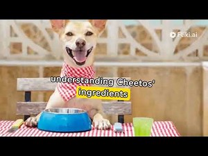 Can Dogs Eat Cheetos? Unveiling Risks, Safe Varieties, and Responsible Snacking Tips