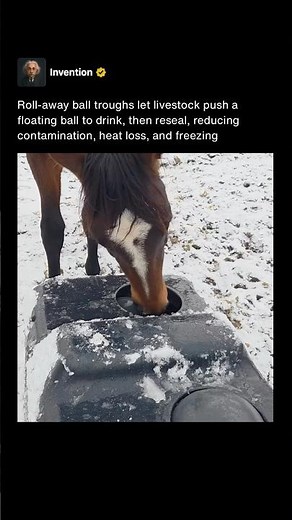 Animals Solve This Water Puzzle With Their Noses 💦 #shorts