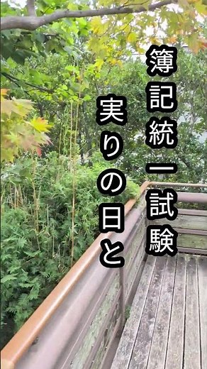 第171回簿記統一試験 良い結果となりますように #簿記3級 #簿記3級勉強法