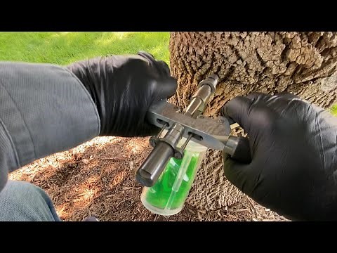 Chip's Arborist Tips: Injecting upside down