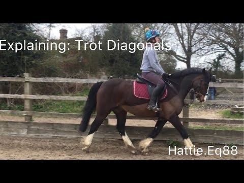 EXPLAINING: Trot Diagonals
