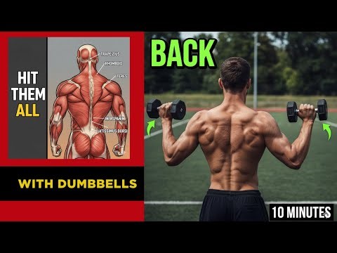 Best Dumbbell Back Exercises || Dumbbell Back Exercises for Width, Strength & Thickness