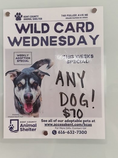 Kent County Animal Shelter on Reels