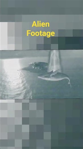 Alien Footage #fyp #shorts #ufo #uap