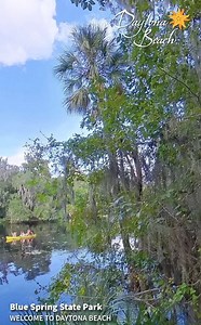 2.2K views · 119 reactions | Get outside this afternoon, virtually. ☀️ Take a look around Blue Spring State Park, a favorite natural spring for swimming, floating, kayaking and so much more! Discover more of Daytona Beach with 360-degree views here: https://bit.ly/3iE7mXw | Daytona Beach Area Convention and Visitors Bureau | Facebook