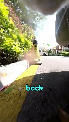 Cat's GoPro Captures INSANE Chase Scene! 🐱 Epic Cat vs Cat Action #gopro #viral #shorts