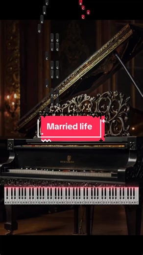 Married life | tutorial | like/follow-more | #pianocovers #pianotok #pianotutorials