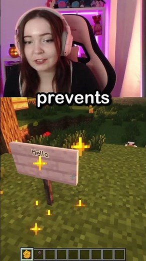 Minecraft Wooden Sign Tricks You HAVE To Try!