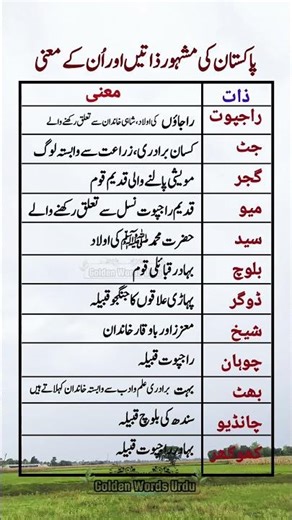 Famous Pakistani Castes and Their Meanings