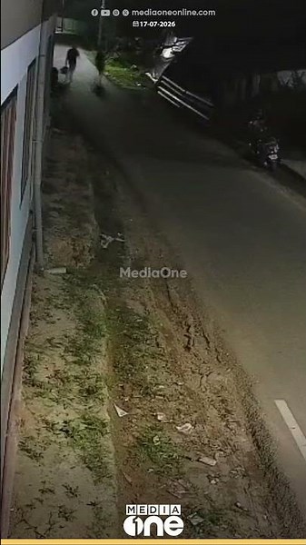 ബൈക്ക് എറിഞ്ഞിട്ട് ഓടി; കാട്ടാനയുടെ മുന്നിൽപ്പെട്ട് ജനങ്ങൾ; ​ഗൂഡല്ലൂരിൽ നിന്നുള്ള ദൃശ്യങ്ങൾ