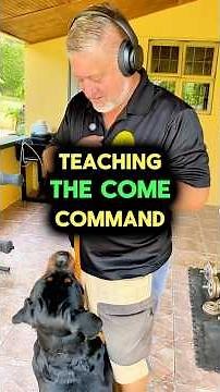 Teaching the 'Come' Command #dogtrainingtips #dogs