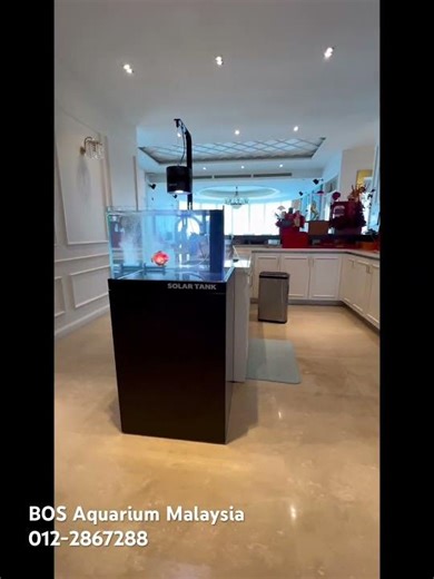 Luxury yet affordable aquarium setup #aquarium #aquascapegallery