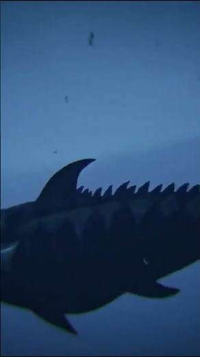 Placoderm Dunkleosteus, a Devonian predator #history #prehistory #documentary #earth