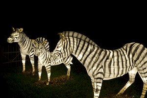 Holidays at Zoo Miami: Dazzling 'Zoo Lights' discount for early birds