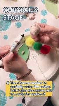 The Life Cycle of a Butterfly Activity Video