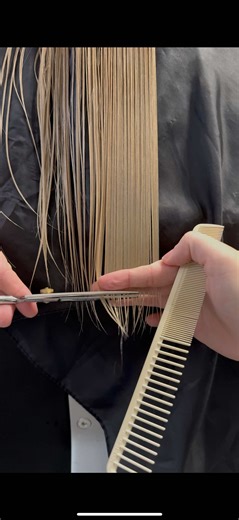 Life After Cosmetology School: A Stylist's Journey