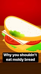 40K views · 75 reactions | Cutting the moldy part off of bread may seem safe, but the entire loaf could still be teeming with fungus. #mold #fungi #bread | Insider Food | Facebook